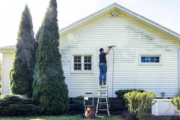 Animal Enclosure Cleaning in Westlake, LA